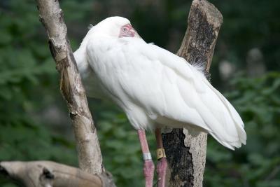 zoo1.jpg