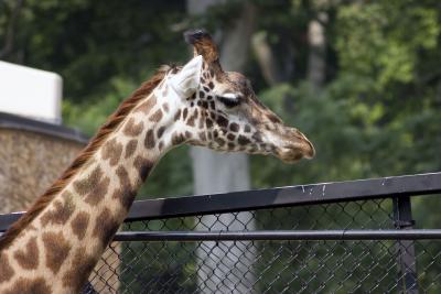 zoo4.jpg