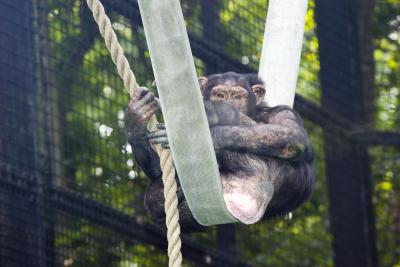 zoo6.jpg