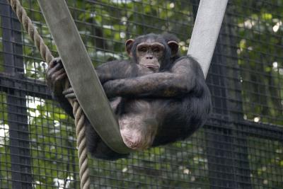 zoo7.jpg
