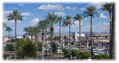 IMG_4219.jpg