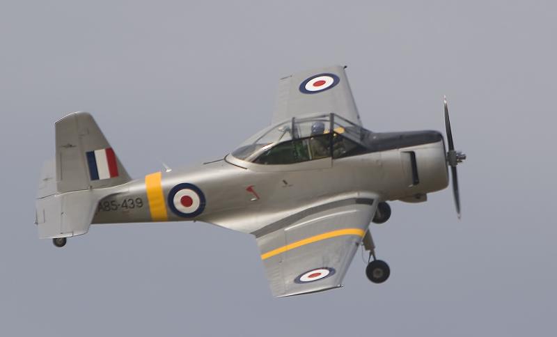 Winjeel 6084.jpg