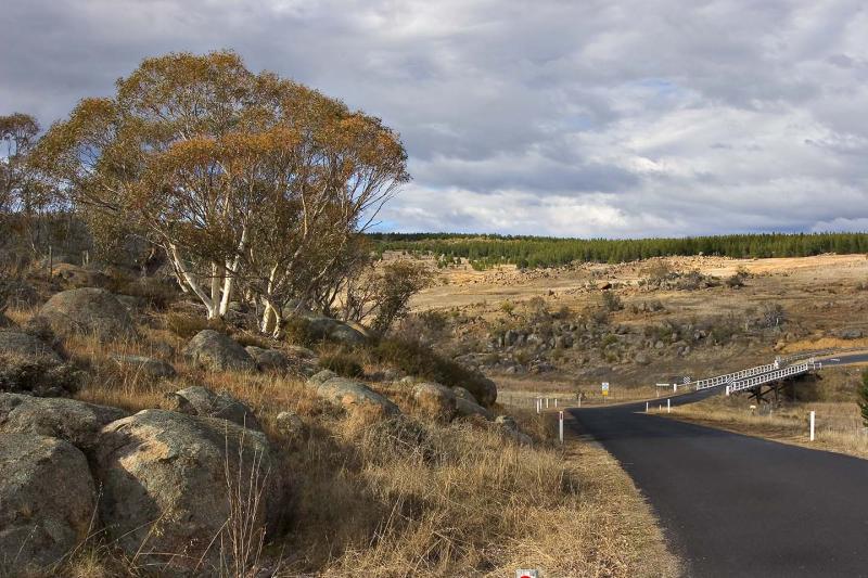 Dalgety Road_6555.jpg