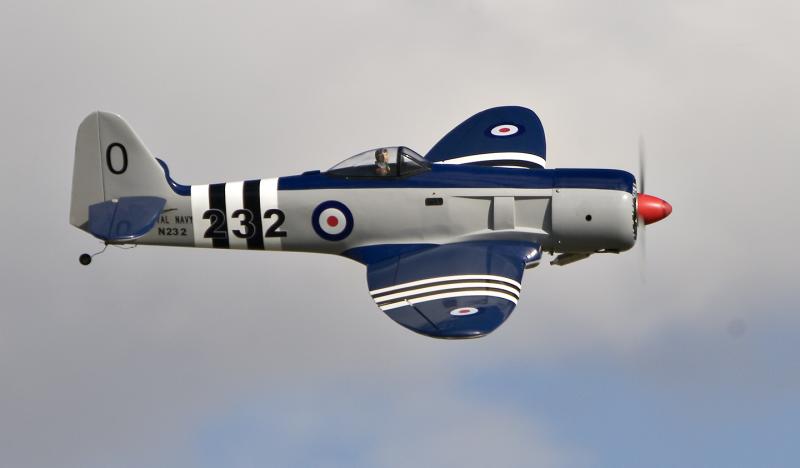 Sea Fury