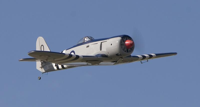 Sea Fury_7028.jpg