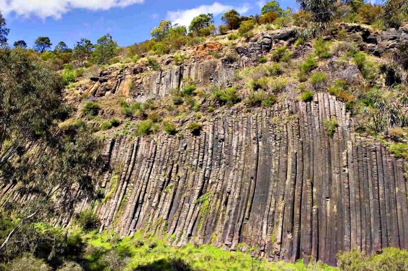 Organ Pipes_0391.jpg