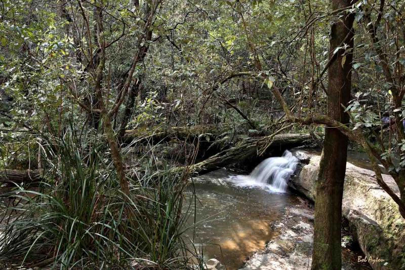 Falls_0326.jpg