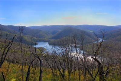 Mt-Selwyn-after-fires.jpg