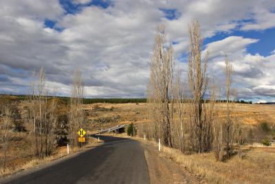 Berridale-Dalgety Rd 6551.jpg