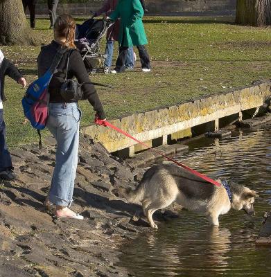 Girl  dog 6358.jpg