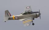 Winjeel 6084.jpg