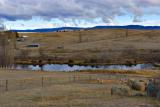 Snowy River Dalgety 6561.jpg