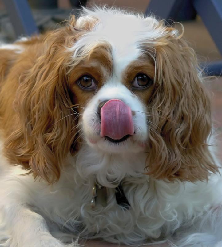 Charley