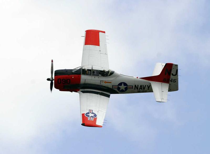 _MG_8313.jpg