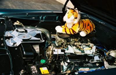 There's a Tiger under this hood!!