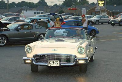 v3/09/553709/3/45970378._MG_0192.jpg