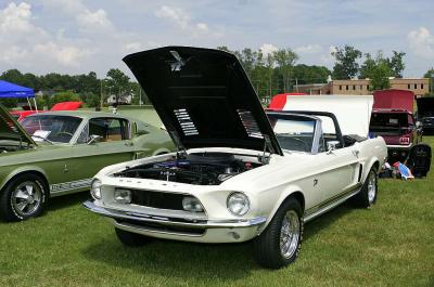 Mustang Club of Tidewater Car Show