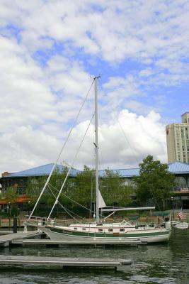 _MG_7454.jpg