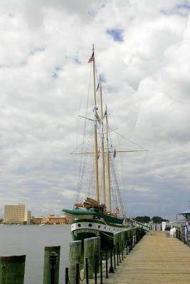 _MG_7485.jpg