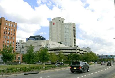 v3/09/553709/3/48786619._MG_7545.jpg