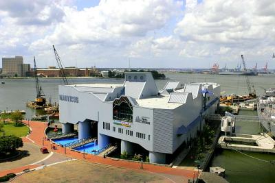 Downtown Norfolk