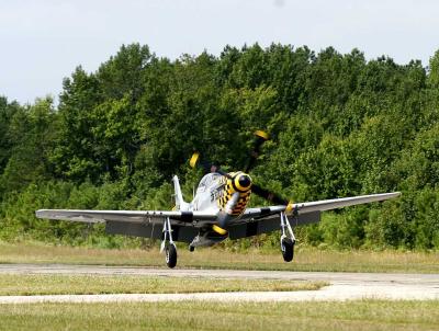 v3/09/553709/3/49805118._MG_8390.jpg