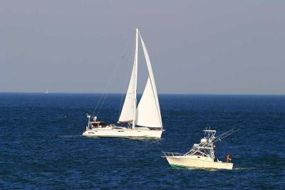 IMG_8513.JPG