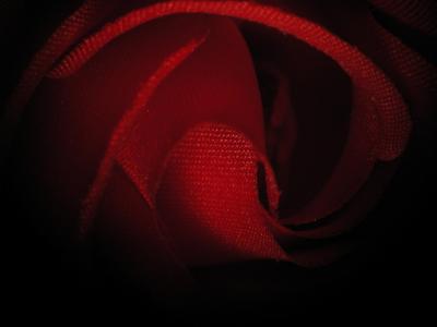 Silk Rose