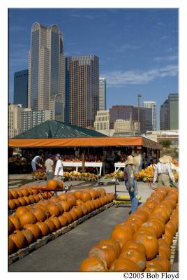 10/17 - Farmer's Market