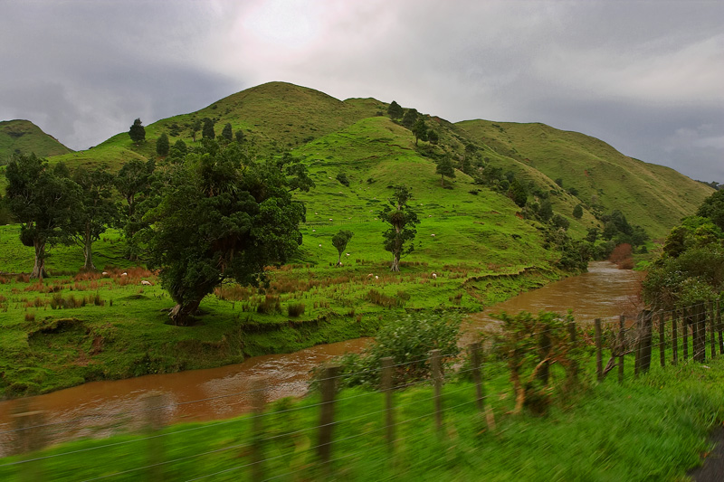 On the way to Rotorua