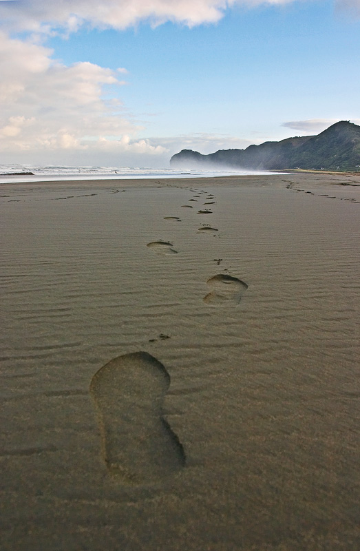 Piha beach