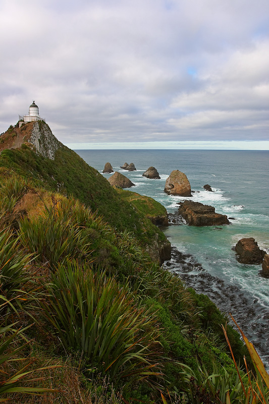 Nugget Point