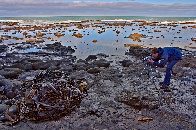 Petrified Forest, Tom at work