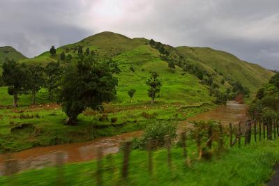 On the way to Rotorua
