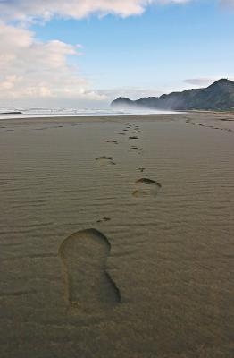 v3/09/566409/3/44579497.6959plaza_w_Piha.jpg