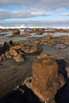 Petrified Forest