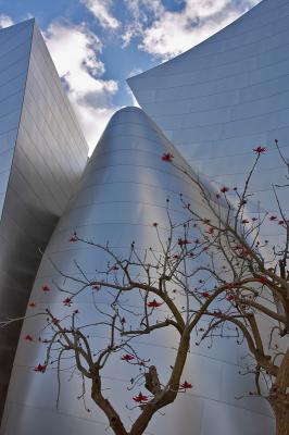 v3/09/566409/3/45127729.4768Walt_Disney_Hall.jpg