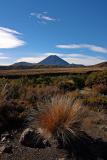 Mt Ngauruhoe, Tongariro NP