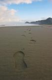 Piha beach