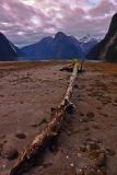 Milford Sound