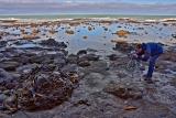 Petrified Forest, Tom at work