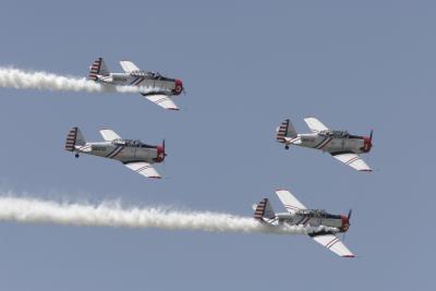 v3/09/572609/3/45528669._MG_5439.jpg
