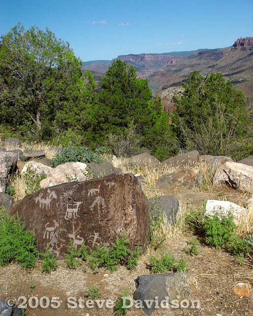 DSC01606w.jpg