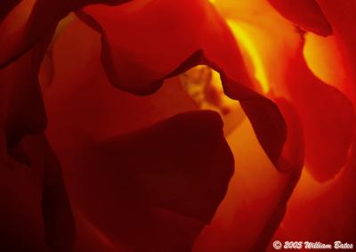 Flames of Passion 07_28_29.jpg