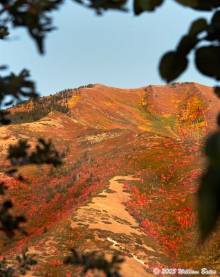 Wanda's Mountain On Fire 09_26_05.jpg