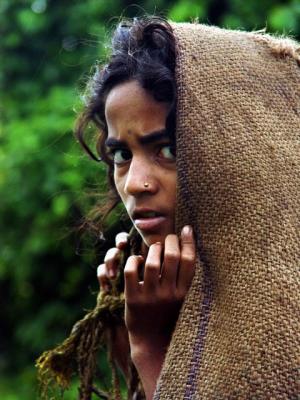 bhima-19-rs.jpg