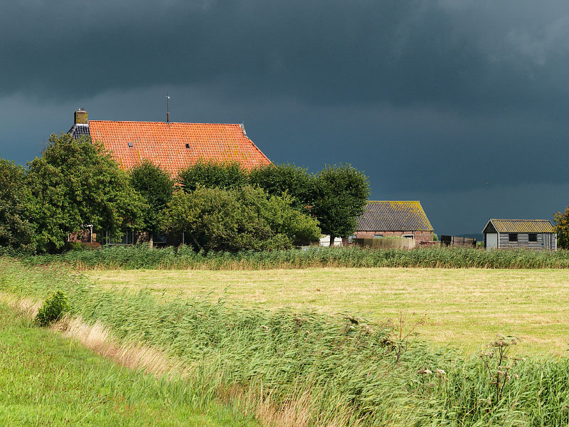 Dark Sky