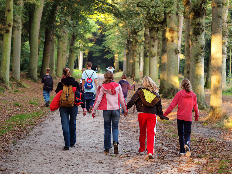 A colourful Walk