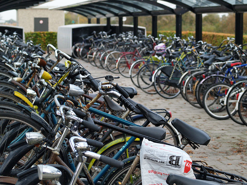 Bicycle Shed @ Railway Station