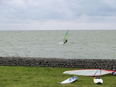 Windsurfer